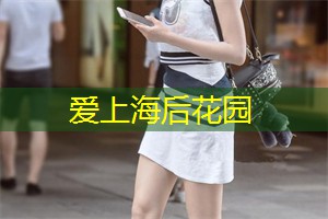 在浮光掠影中体验夜生活